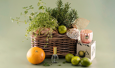 Kraeuteroel 380 225 72 Aromapraxis & psychologische Beratung