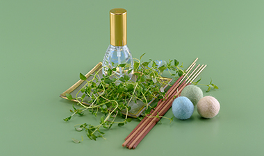 Thymian 380 Aromapraxis & psychologische Beratung